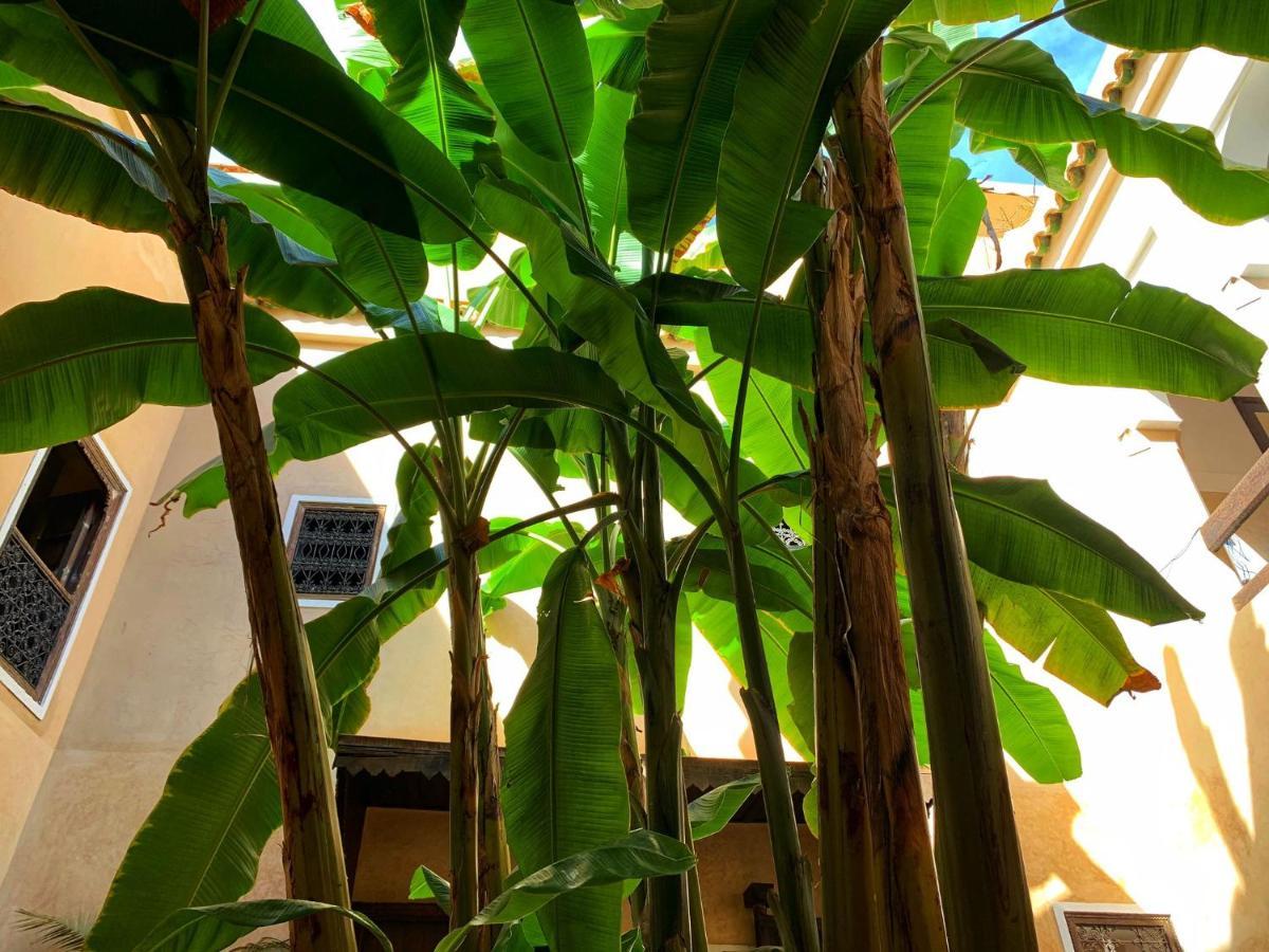Riad Bamileke Marrakesh Exteriör bild