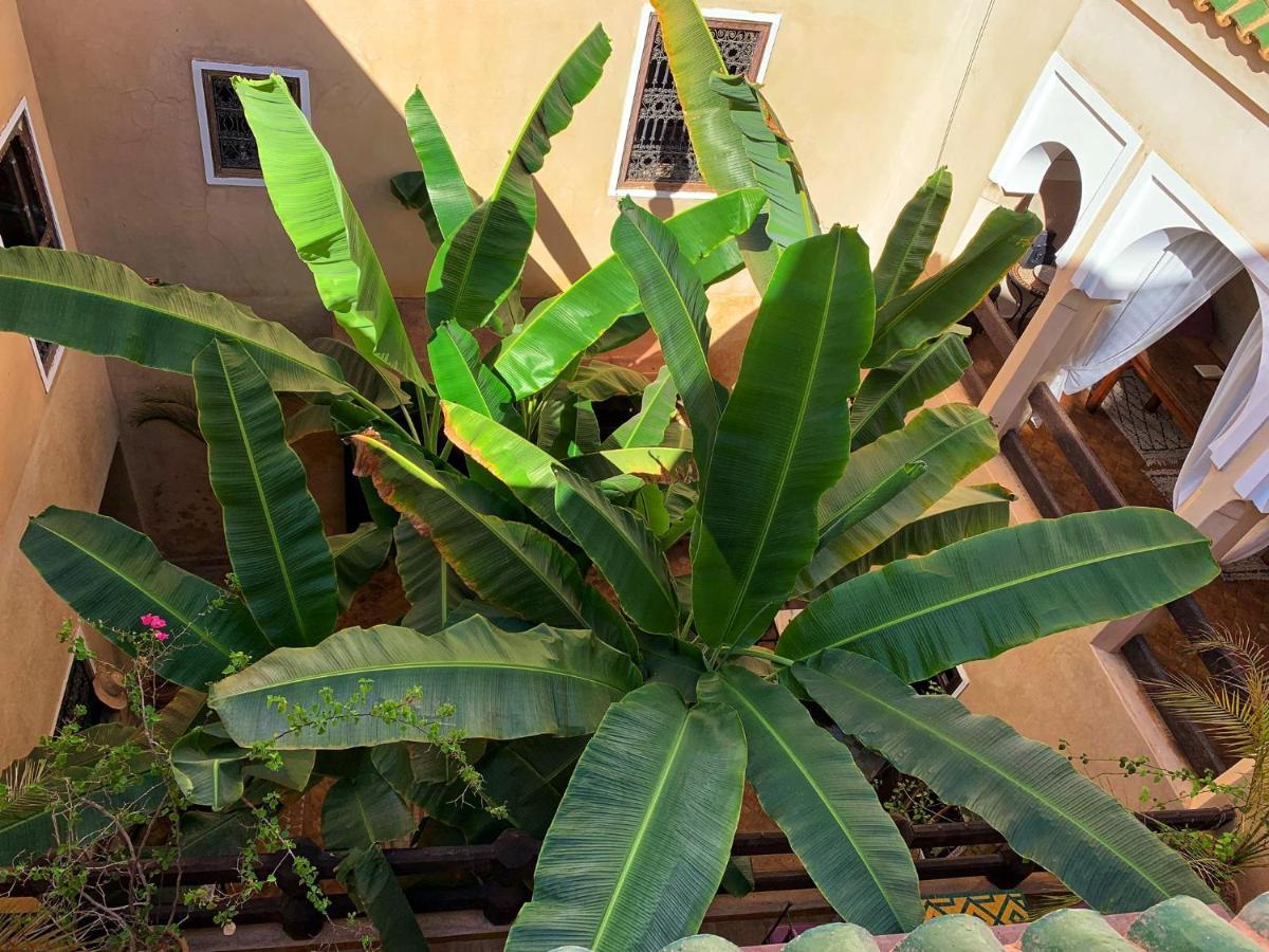 Riad Bamileke Marrakesh Exteriör bild