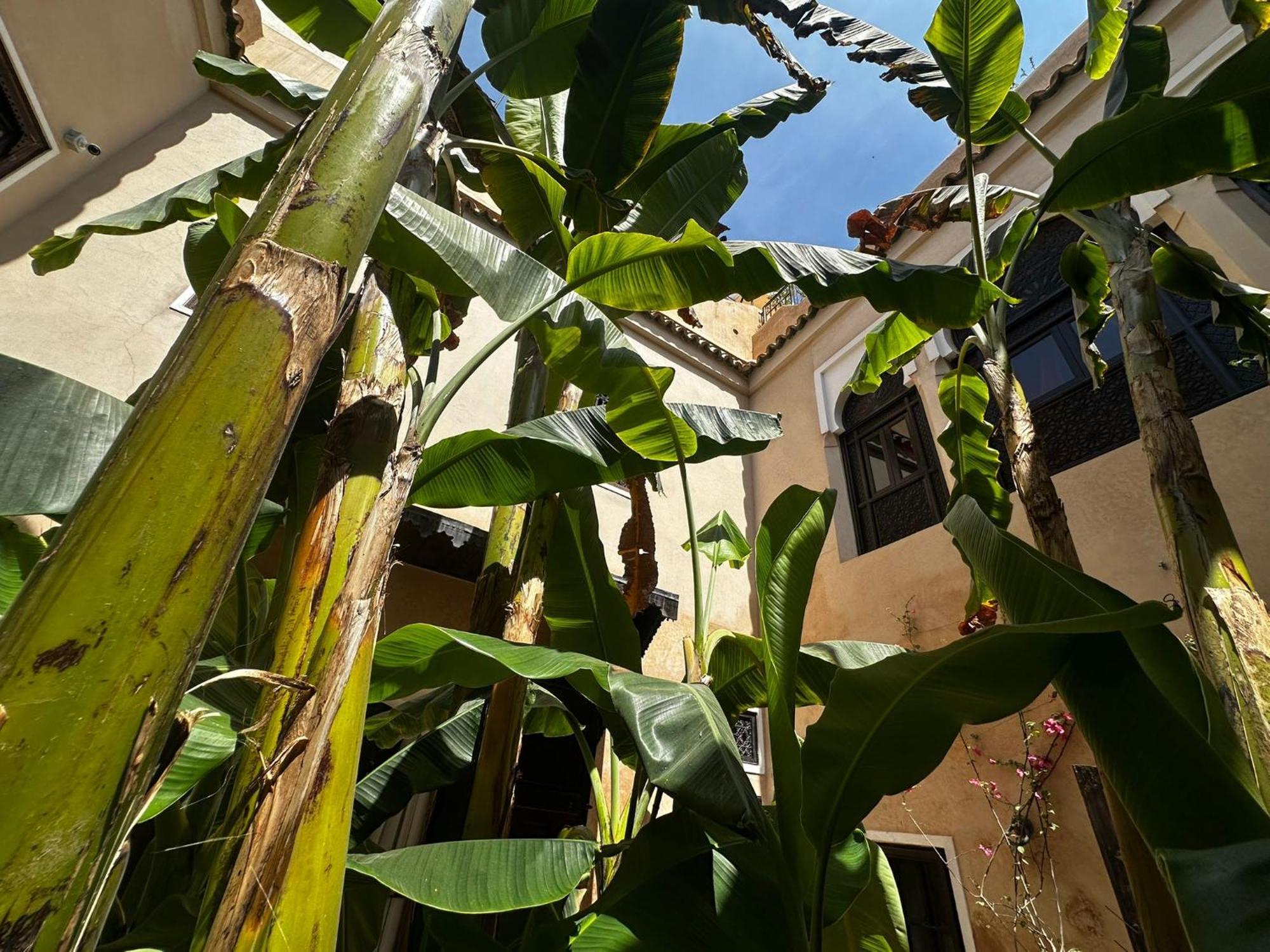 Riad Bamileke Marrakesh Exteriör bild
